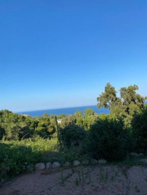 Studio Lavoda
